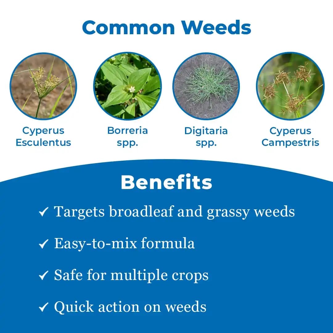 Bayer Sencor Herbicide - Image 3