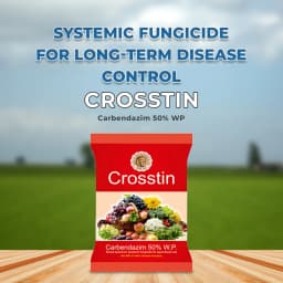Shivalik Crosstin Carbendazim 50% WP Fungicide, Broad Spectrum, Agriculture Use 2