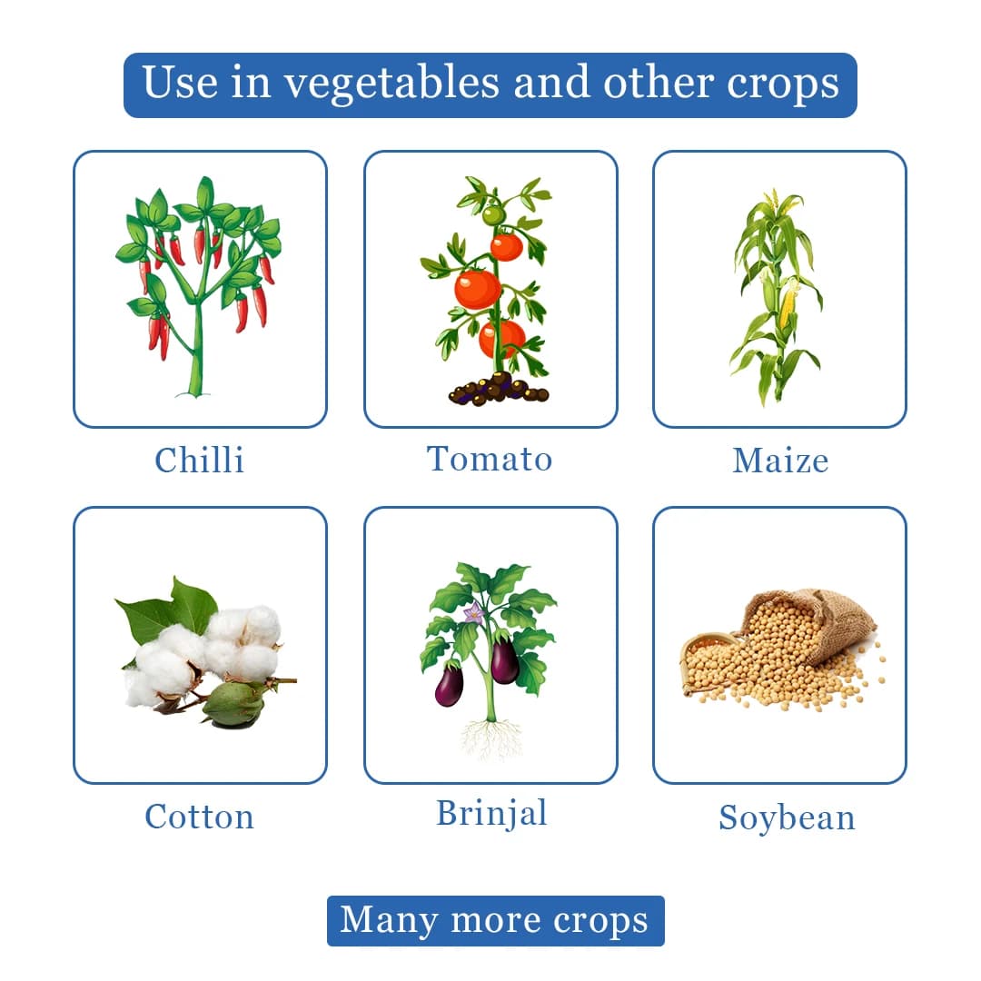 एनबी नीम - नीम ऑयल 345 पीपीएम, घुलनशील, थ्रिप्स, सफ़ेद मक्खियों, माहूँ, लीफ माइनर्स और बग्स के खिलाफ़ सबसे अच्छा, कीटों की वृद्धि को कम करता है - Image 4