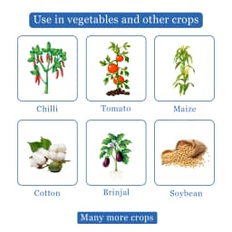 एनबी नीम - नीम ऑयल 345 पीपीएम, घुलनशील, थ्रिप्स, सफ़ेद मक्खियों, माहूँ, लीफ माइनर्स और बग्स के खिलाफ़ सबसे अच्छा, कीटों की वृद्धि को कम करता है 4