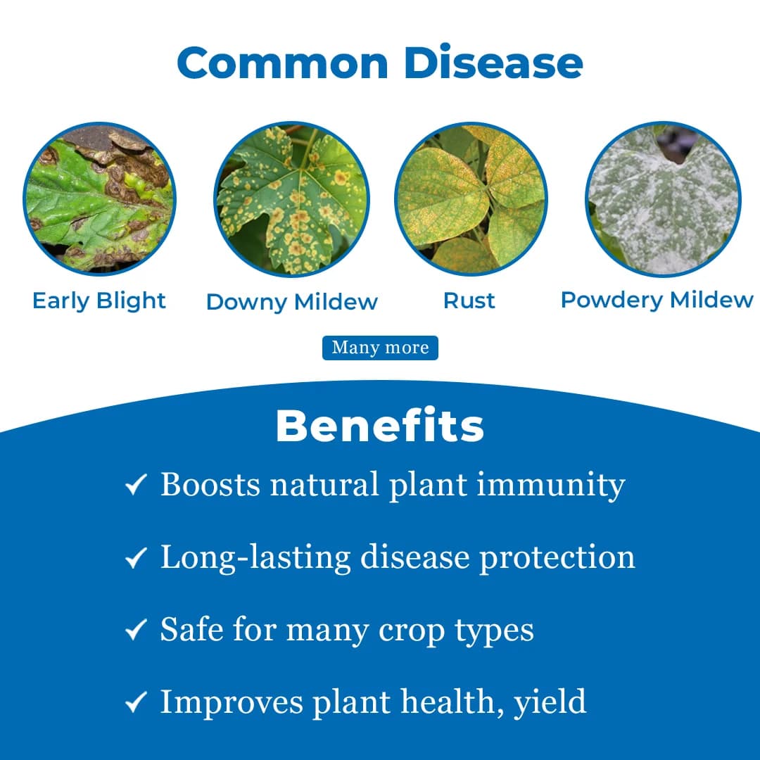 एफएमसी सेंटरस टेबुकोनाजोल 6.7% + कैप्टन 26.9% एससी फफूंदनाशक, कई फसलों में कवक जनित रोगों का नियंत्रण - Image 3