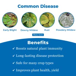 एफएमसी सेंटरस टेबुकोनाजोल 6.7% + कैप्टन 26.9% एससी फफूंदनाशक, कई फसलों में कवक जनित रोगों का नियंत्रण 3