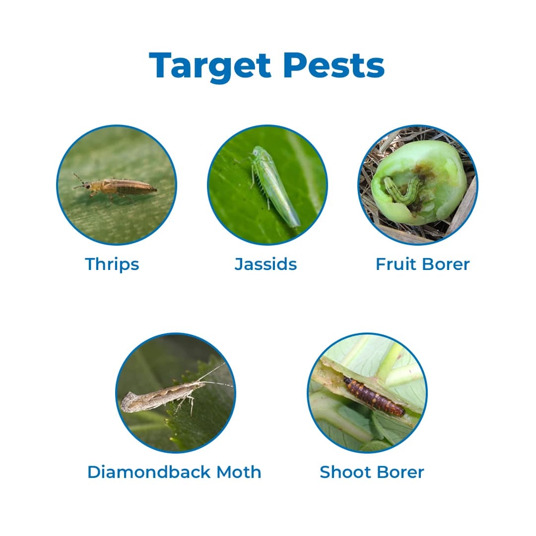 Indofil Alecto Insecticide - Image 3