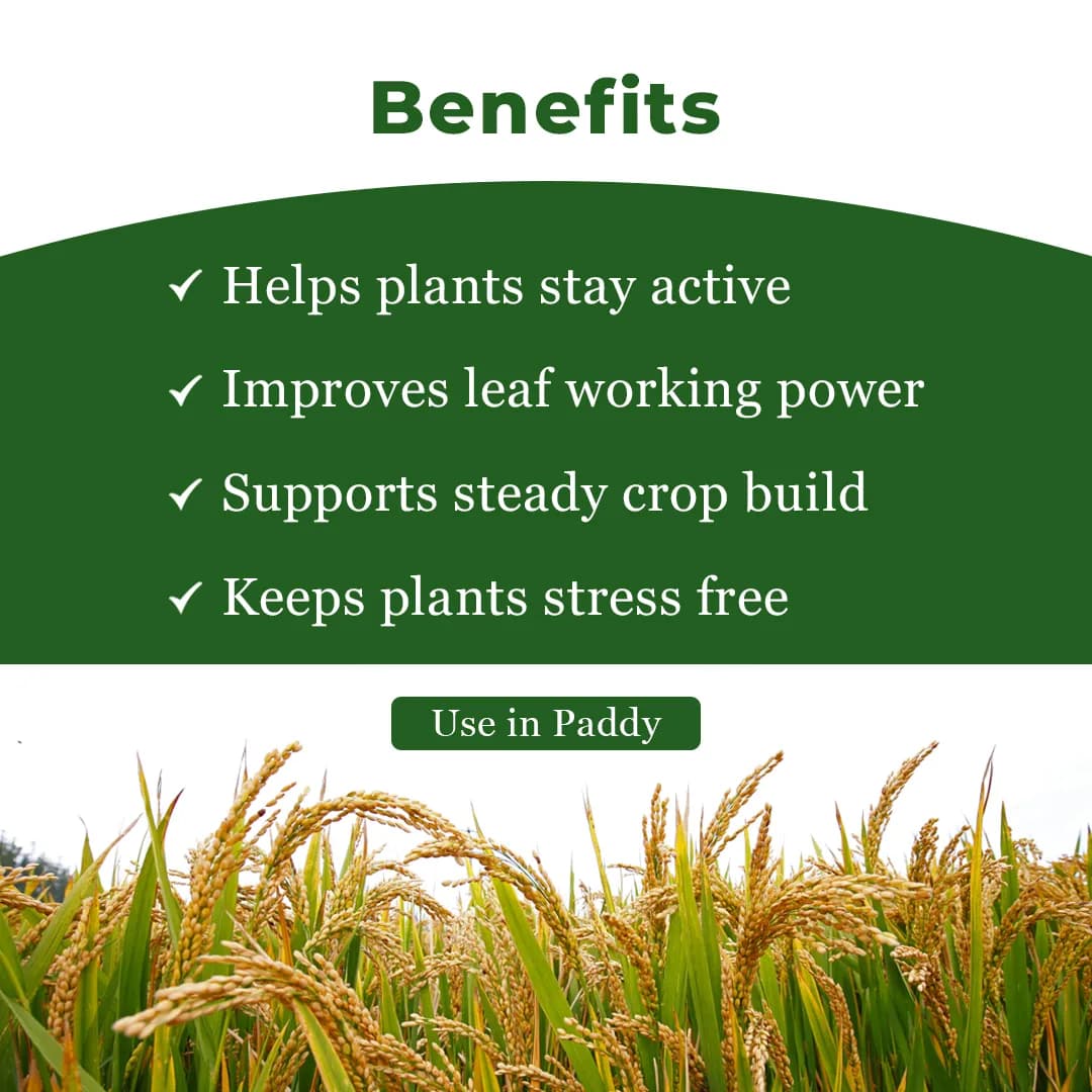 Gacil Paddy Special - Micronutrients For Paddy - Image 4