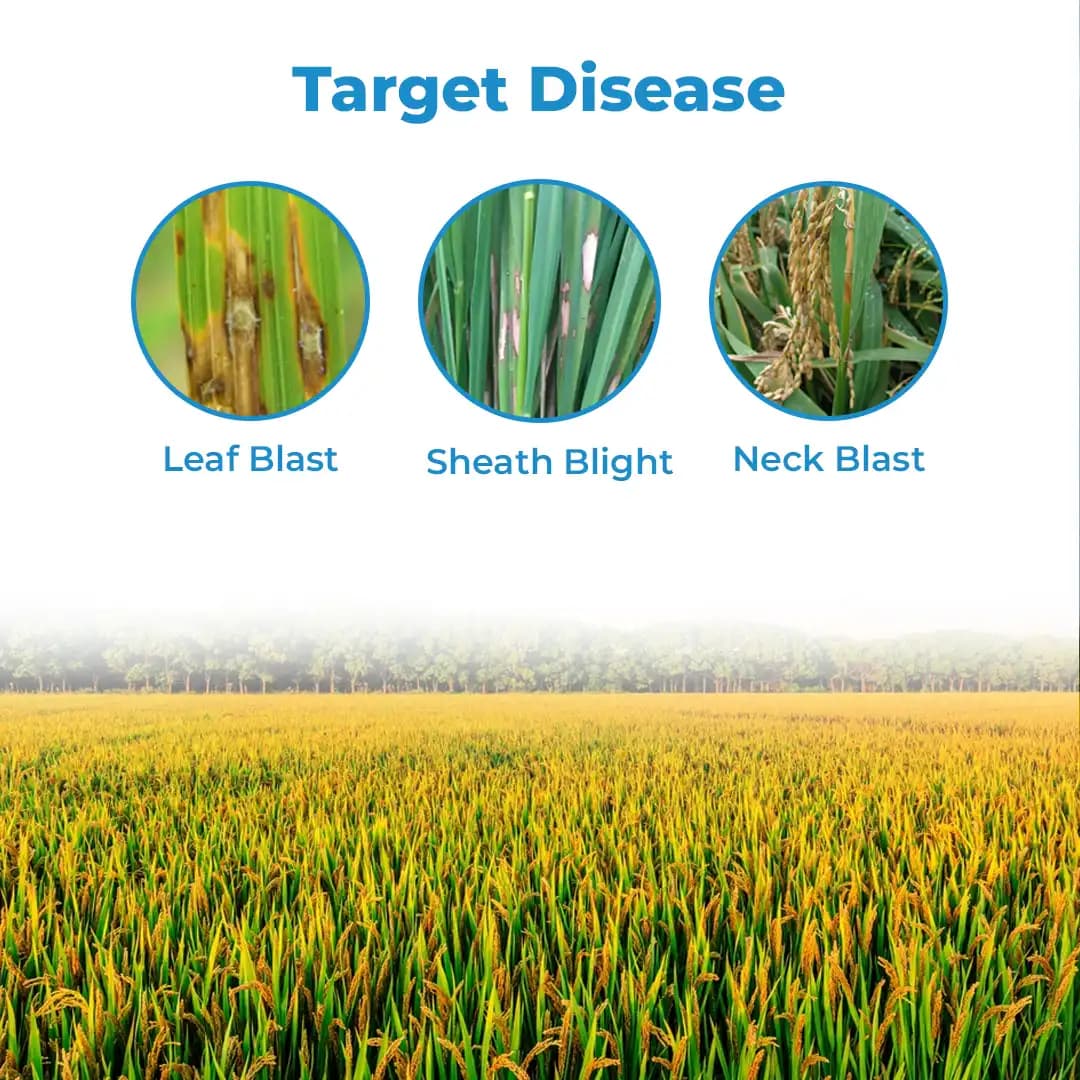 Tata Rallis Ayaan Kresoxim Methyl 40% + Hexaconazole 8% Wg, Use For Gardening Plants And Field Crops - Image 3