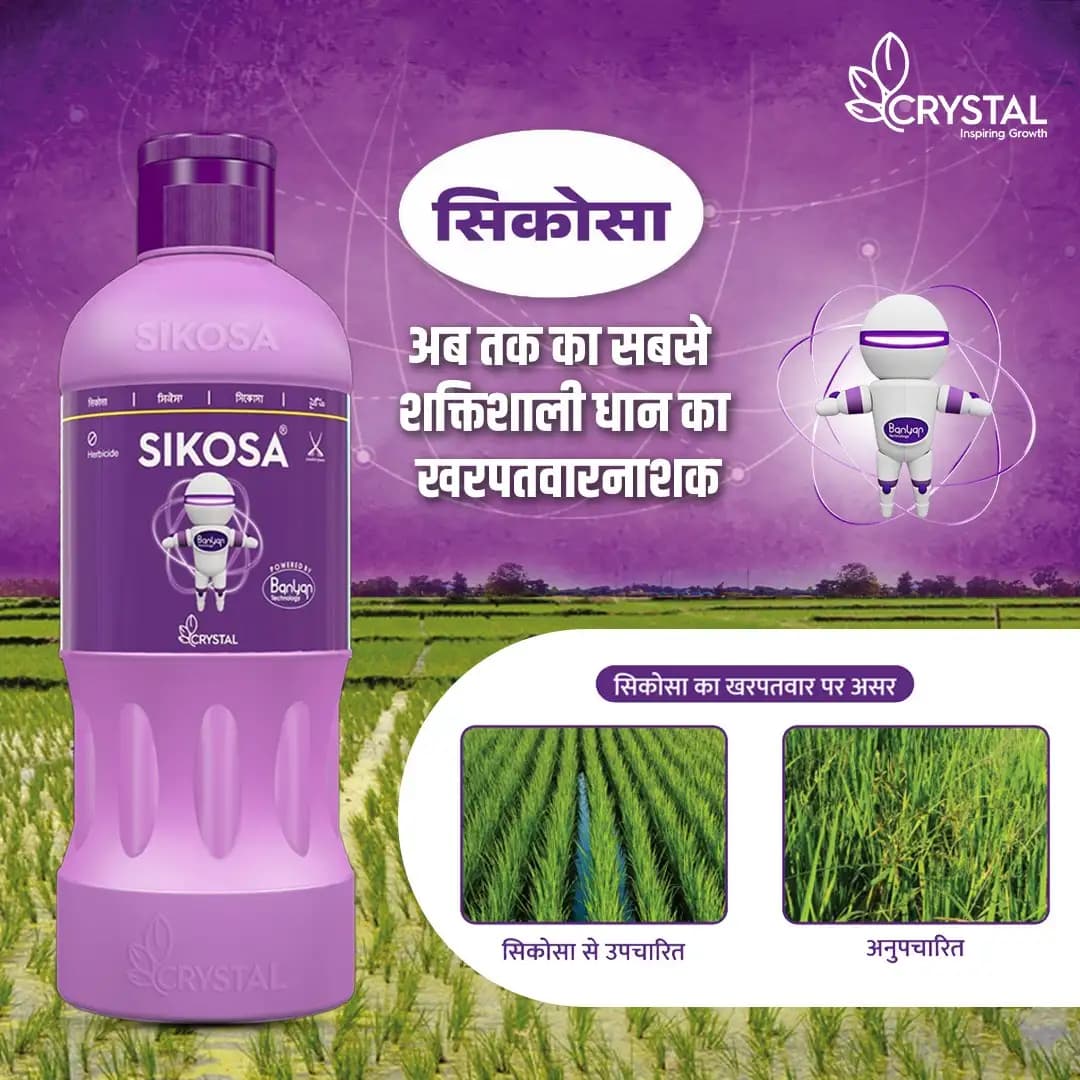 Crystal Sikosa Bensulfuron Methyl 4.8% + Pretilachlor 48% OD Herbicide, Use For Paddy - Image 9