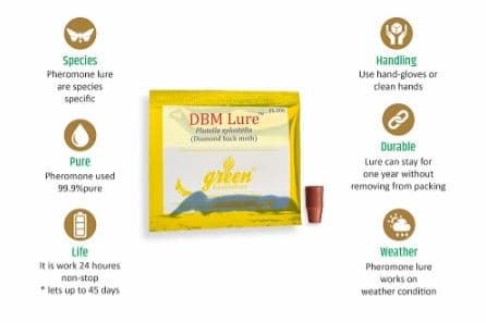 डेल्टा फेरोमोन ट्रैप - डायमंडबैक मॉथ (प्लूटेला ज़ाइलोस्टेला) को नियंत्रित करने के लिए ल्यूर। - Image 7