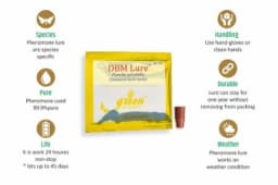 Delta Pheromone Trap with DBM Pheromone Lure for controlling Diamondback Moth (Plutella xylostella) 3