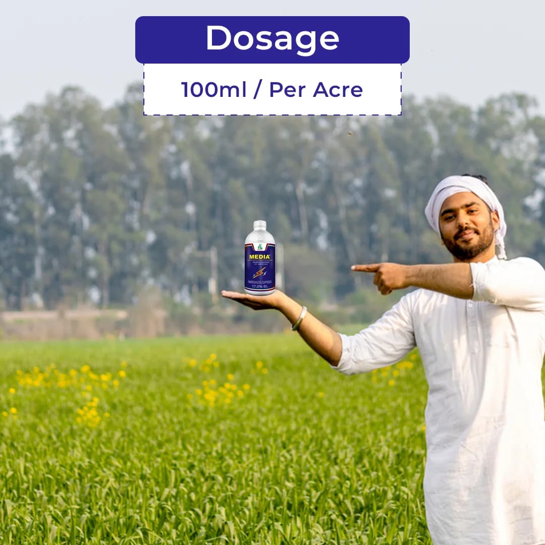 Dhanuka Media Insecticide - Image 5