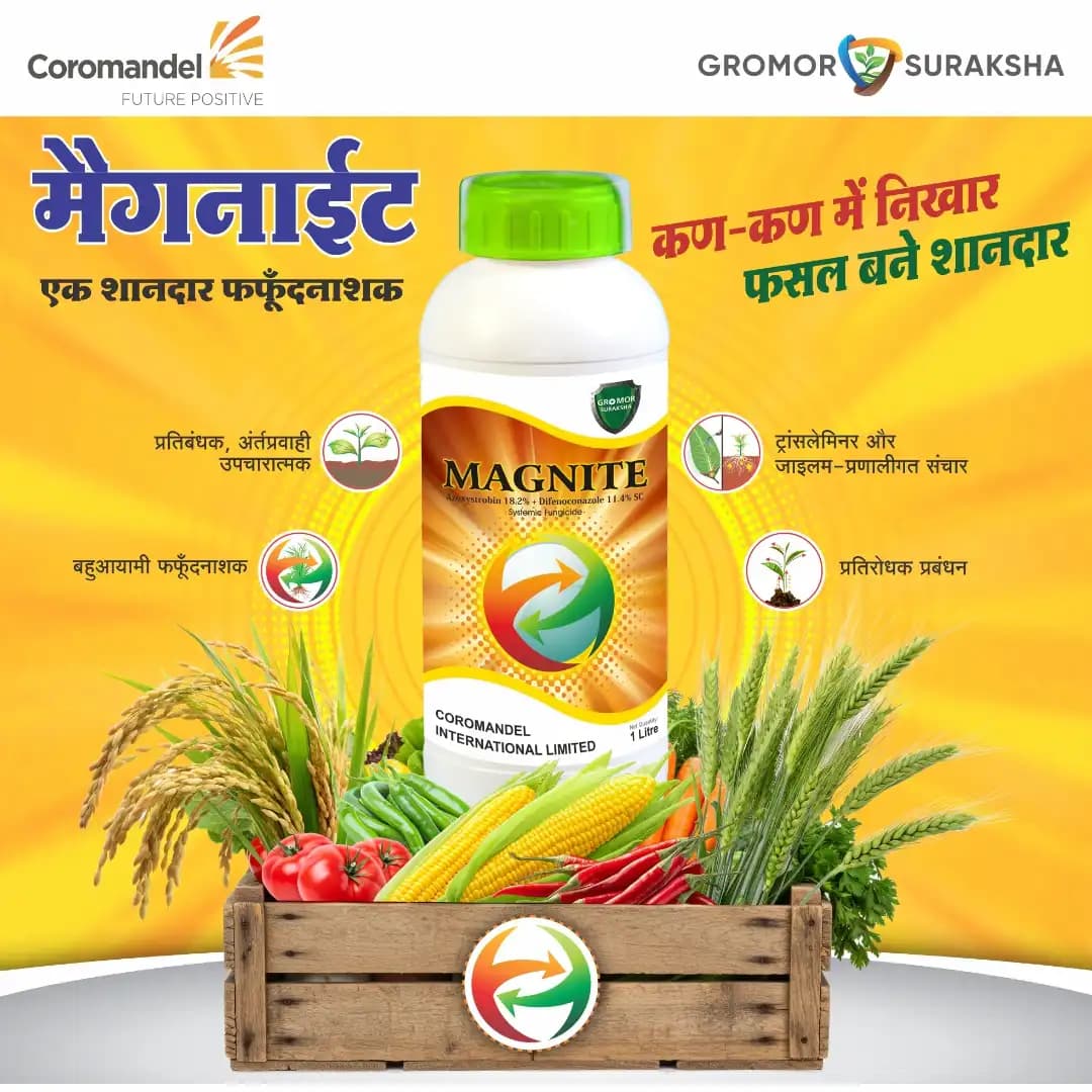 Coromandel MAGNITE Azoxystrobin 18.2% + Difenoconazole 11.4% SC Fungicide, Systemic Action, Ensuring Superior Disease Control In Major Crops - Image 2