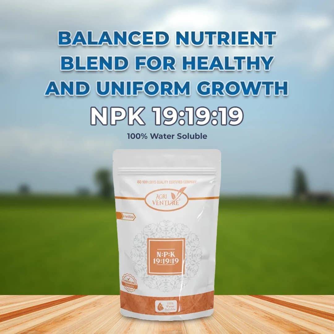 Agriventure NPK 19:19:19 Fertilizer - Image 2