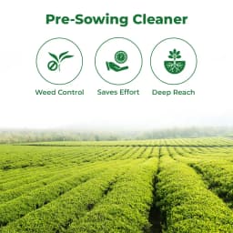 Krishi Rasayan Krup Glyphosate 41% SL Herbicides, Non-Selective And Systemic, Control Weeds Effectively 3