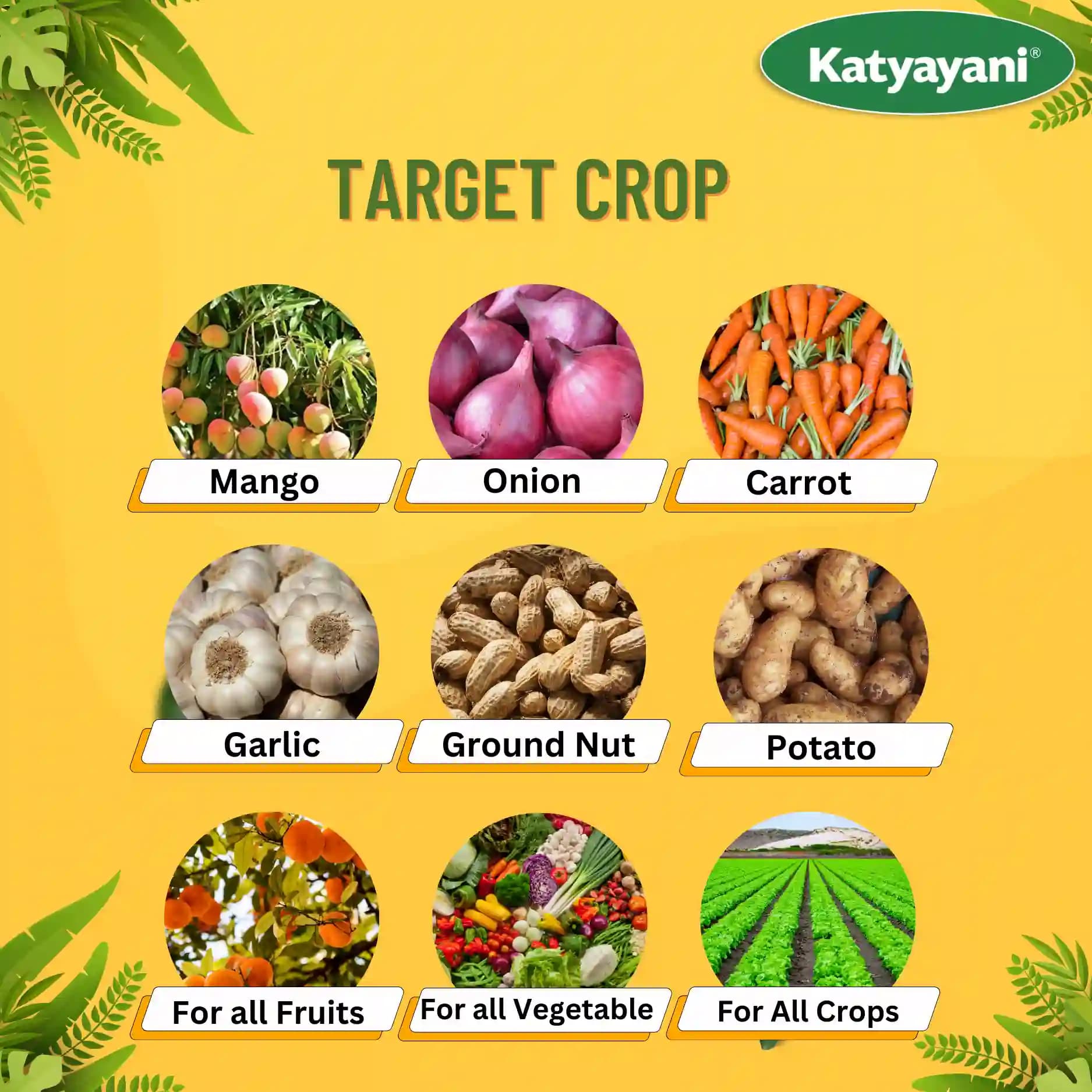 Katyayani Enriched Vermicompost Fertilizer, Premium Organic Compost For Enhanced Soil Health and Boost Crop Growth - Image 7