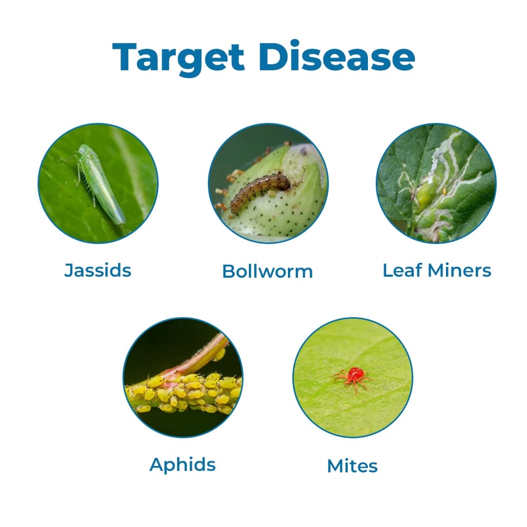 IIL Monocil Monocrotophos 36% SL Broad Spectrum Insecticide, Use for Cotton, Citrus and Tea - Image 3