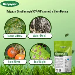 Katyayani Dismiss Dimethomorph 50% WP Fungicide, Effective Control of Downy Mildew, Late Blight, and Other Fungal Diseases 3