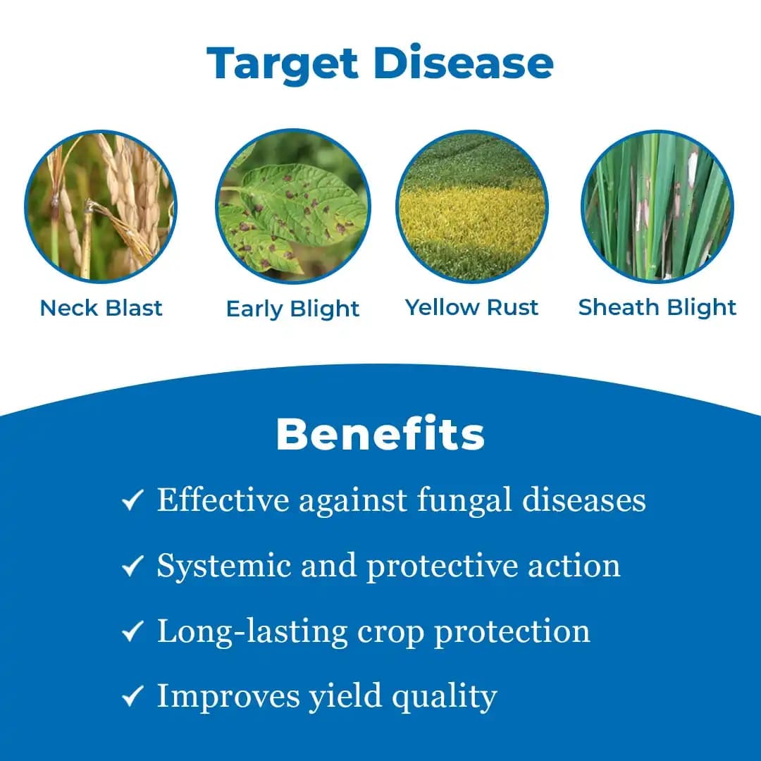 Bayer Nativo Tebuconazole 50% + Trifloxystrobin 25% WG (75 WG) Fungicide, Used To Control Various Fungal Diseases On Different Crops - Image 3