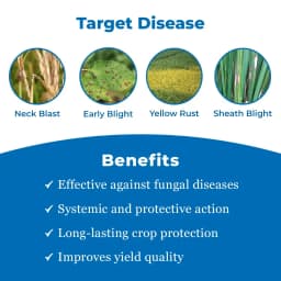 Bayer Nativo Tebuconazole 50% + Trifloxystrobin 25% WG (75 WG) Fungicide, Used To Control Various Fungal Diseases On Different Crops 3