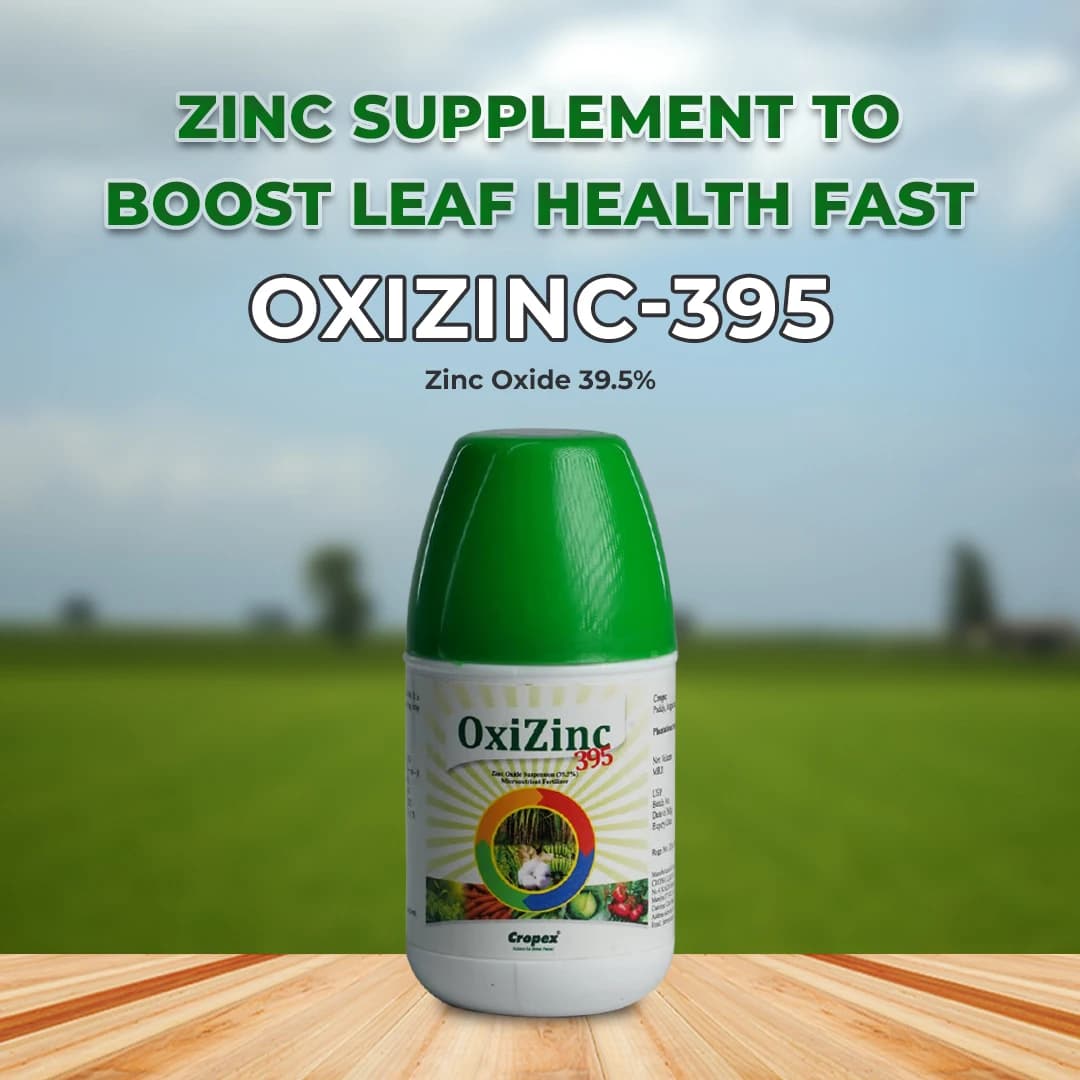 Oxizinc-395 , Zinc Oxide 39.5% Micronutrient , Zinc Fertilizer, Used For Paddy, Sugarcane, Maize, Cotton, Vegetables, Ginger, etc. - Image 2