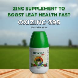 Oxizinc-395 , Zinc Oxide 39.5% Micronutrient , Zinc Fertilizer, Used For Paddy, Sugarcane, Maize, Cotton, Vegetables, Ginger, etc. 2