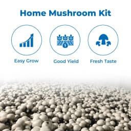 थानवी बायोटेक्नोलॉजी बटन मशरूम स्पॉन, एगैरिकस बिस्पोरस, केवल स्पॉन शामिल, सर्वोत्तम गुणवत्ता 3