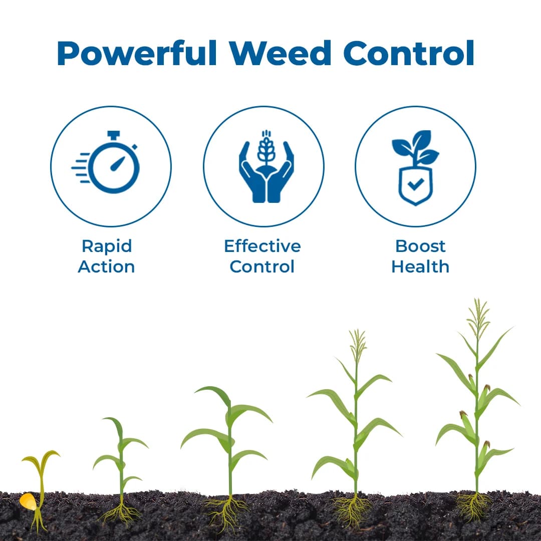 Bayer Laudis Herbicide - Image 3