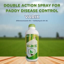 Willowood VARIX Difenoconazole 6% + Validamycin 6% SC Fungicide, Controls Broad Spectrum of Fungal and Bacterial Diseases 2