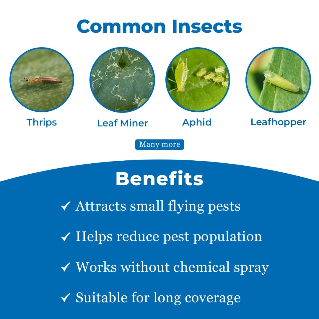 Green Revolution Blue Sticky Roll Trap, 15 Cm x 100 Mtr, Effective For Controlling Flying Insects - Image 4