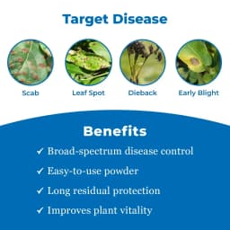 Bayer Antracol Propineb 70% WP, A Contact, Systemic Fungicide with Broad-Spectrum Activity 3