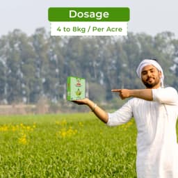 EBS VAM Bio Fertilizer (Vesicular Arbuscular Mycorrhizal), Use To Improve Soil Fertility In Your Farm & Garden 5