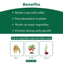Bayer Folicur Tebuconazole 250 EC Systemic Broad Spectrum Triazole Fungicide. 4