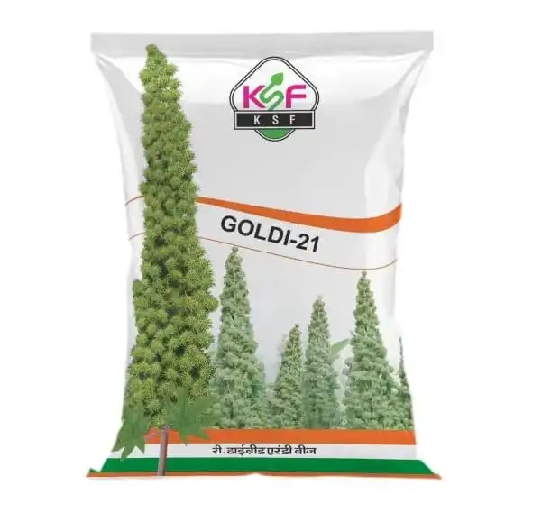 KSF Goldi-21 Castor Seeds