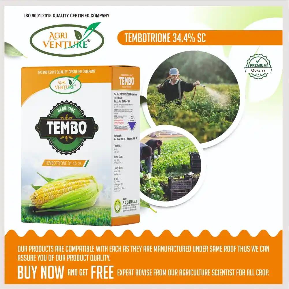 Agriventure TEMBO Tembotrione 34.4% SC Herbicide, Effective Weed Control In Maize - Image 5