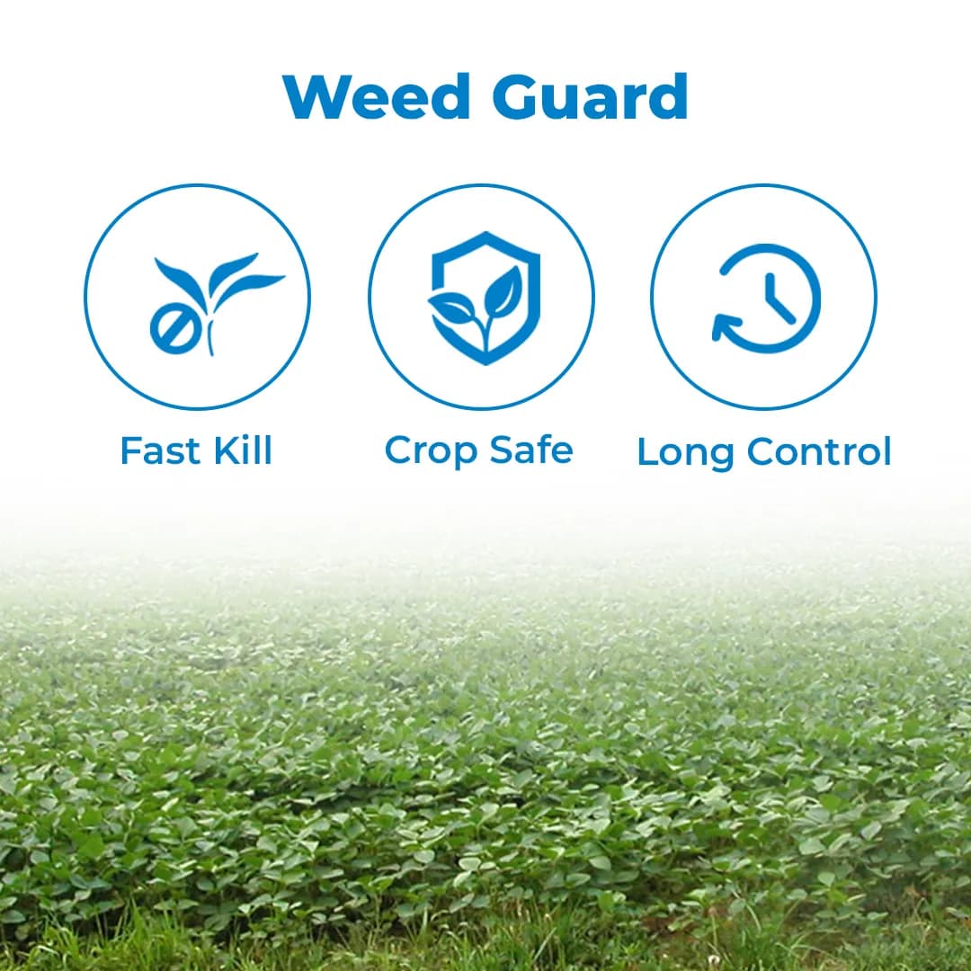 Btrail & Surfactant Herbicide - Imazethapyr 10% SL - Image 3