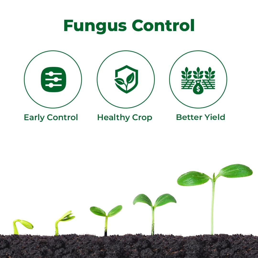 Exylon Tebuspark Fungicide - Tebuconazole 38.39% SC - Image 3