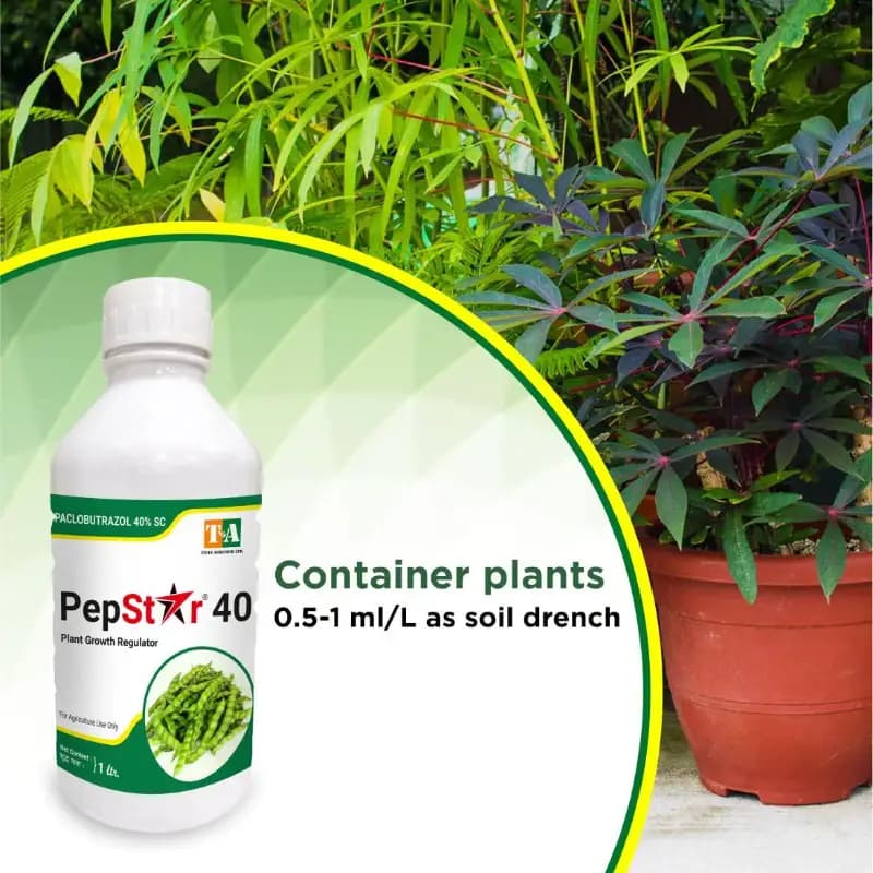 Titan Agritech PEP STAR 40 Paclobutrazol 40% SC Plant Growth Regulator, Effective For Mango And Fruit Trees - Image 8