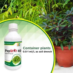 Titan Agritech PEP STAR 40 Paclobutrazol 40% SC Plant Growth Regulator, Effective For Mango And Fruit Trees 8