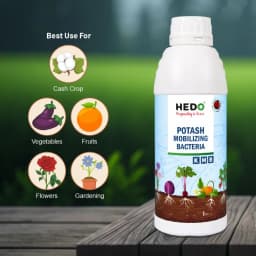 HEDO Potassium Mobilizing Bacteria (KMB) Liquid Bio Fertilizer, To Increase The Fruit Quality & Growth Of The Crops 2