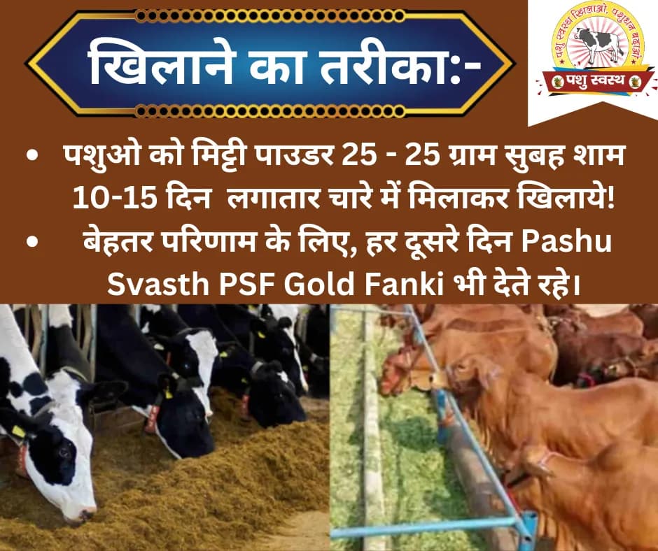 PASHU SVASTH MITTI POWDER, Natural Herbs For Preventing Soil Eating (PAYKA AND PICA) In Animals - Image 3