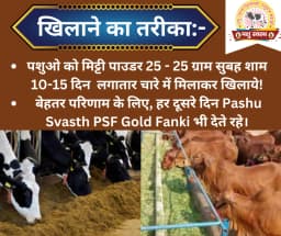 PASHU SVASTH MITTI POWDER, Natural Herbs For Preventing Soil Eating (PAYKA AND PICA) In Animals 3