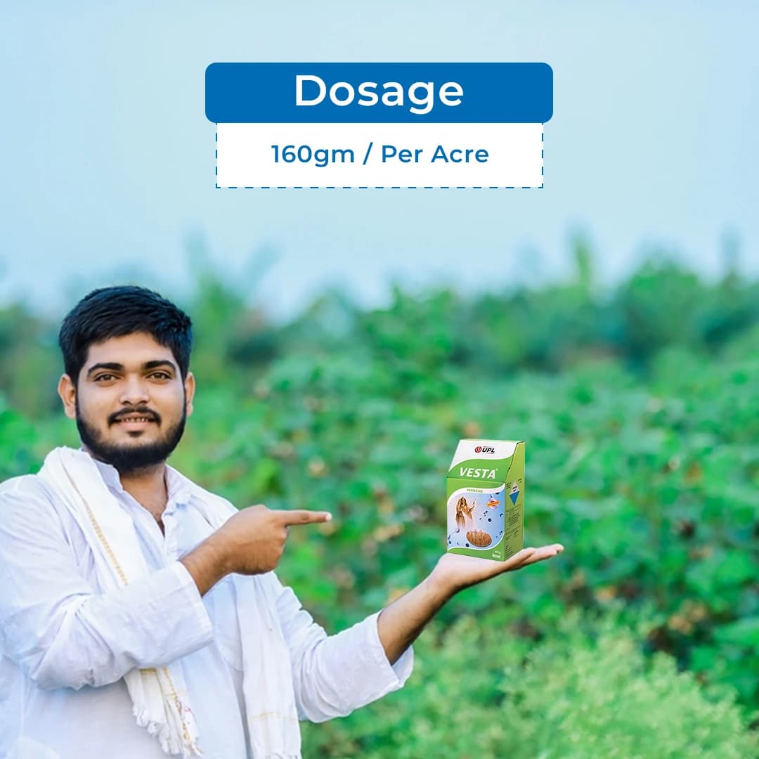 UPL Vesta Clodinafop propargyl 15% + Metsulfuron methyl 1% WP, Post Emergent Herbicide. - Image 5