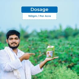 UPL Vesta Clodinafop propargyl 15% + Metsulfuron methyl 1% WP, Post Emergent Herbicide. 5