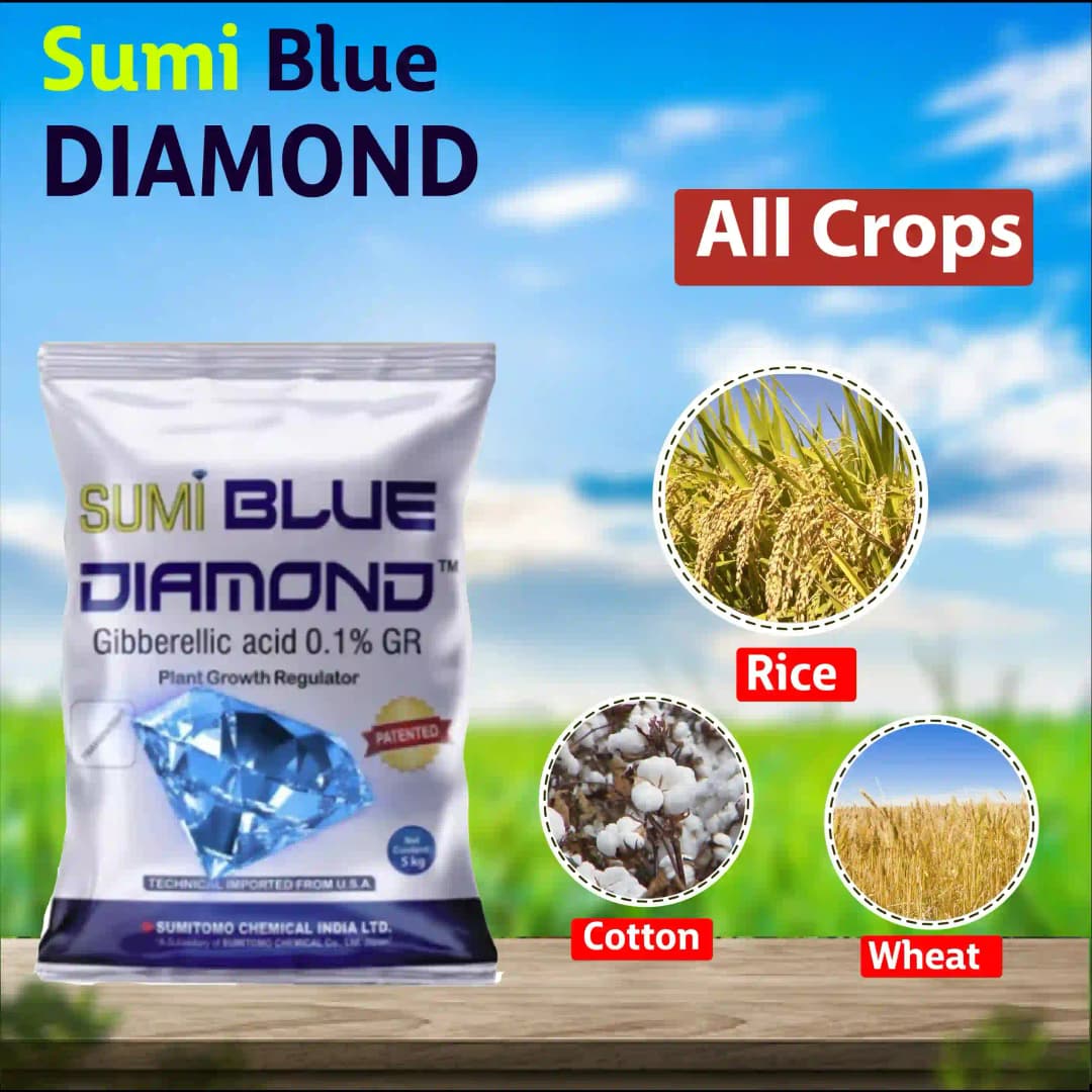 Sumitomo Sumi Blue Diamond Gibberellic Acid 0.1% GR Plant Growth Regulator, Complete Development Helps the Paddy Plant - Image 7
