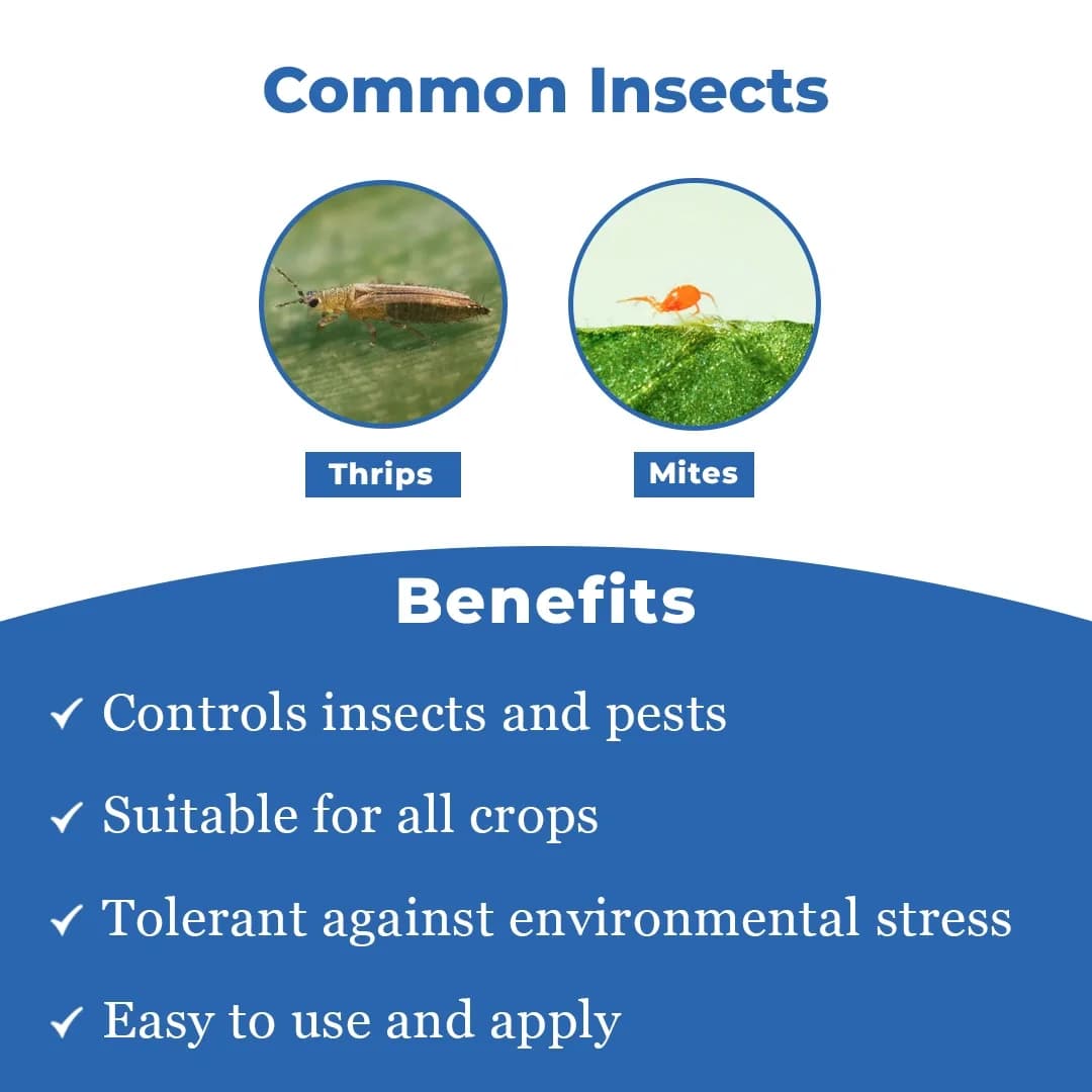 Alpha - Bio and Eco-Friendly Remedy for Thrips and Mites, Suitable for All Agricultural Crops - Image 3