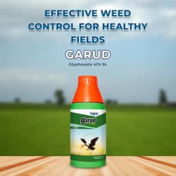 HPM GARUD (Glyphosate 41% SL) Non Selective Systemic Herbicide with Rapid Translocation 2