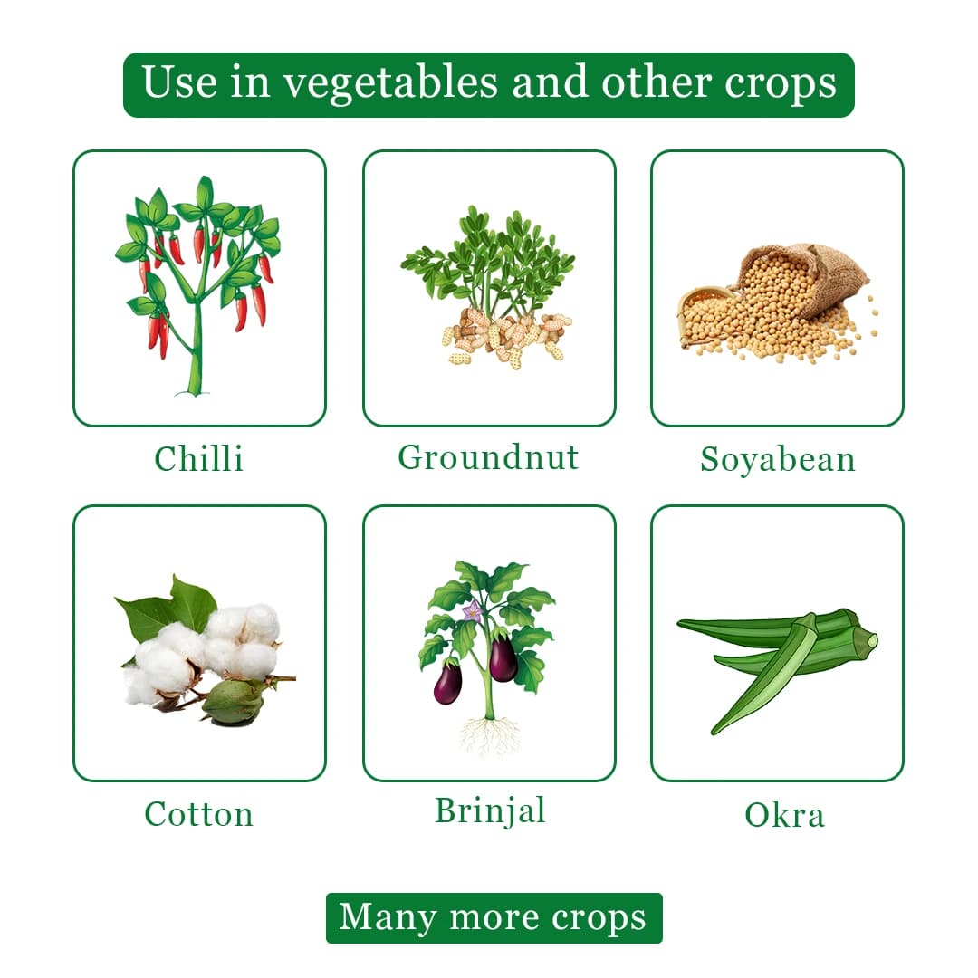 हमला 550, क्लोर्पिरीफॉस 50% + सायपरमेथ्रिन 5% ईसी कीटनाशक: सिस्टेमिक और संपर्क क्रिया। - Image 4