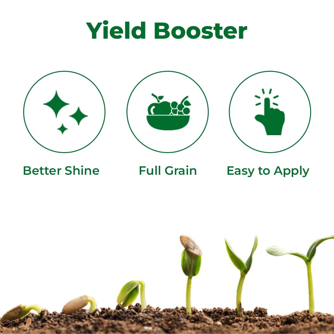Aries Ari Potash Mixed Macronutrient Fertilizer, An Essential Nutrient for Plant Growth - Image 3
