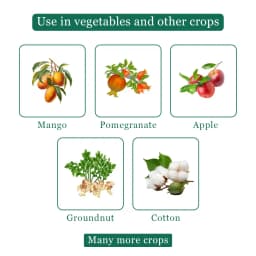 बीएसीएफ होर्ड एक्सटी - पैक्लोबुट्राजोल 23% एससी, प्लांट ग्रोथ रेगुलेटर, विशेष रूप से फलों के लिए. 4