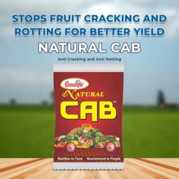 Geolife Natural Cab Anti Cracking and Anti Rotting , Combination Of Calcium And Boron In High Percentage , Advanced Nano Technology 2