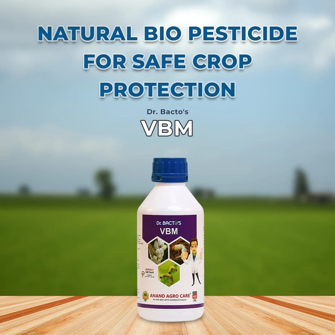 Dr. Bacto\'s VBM Bio-Insecticide - Verticillium Lecanii + Beauveria Bassiana + Metarhizium Anisopliae - Image 2