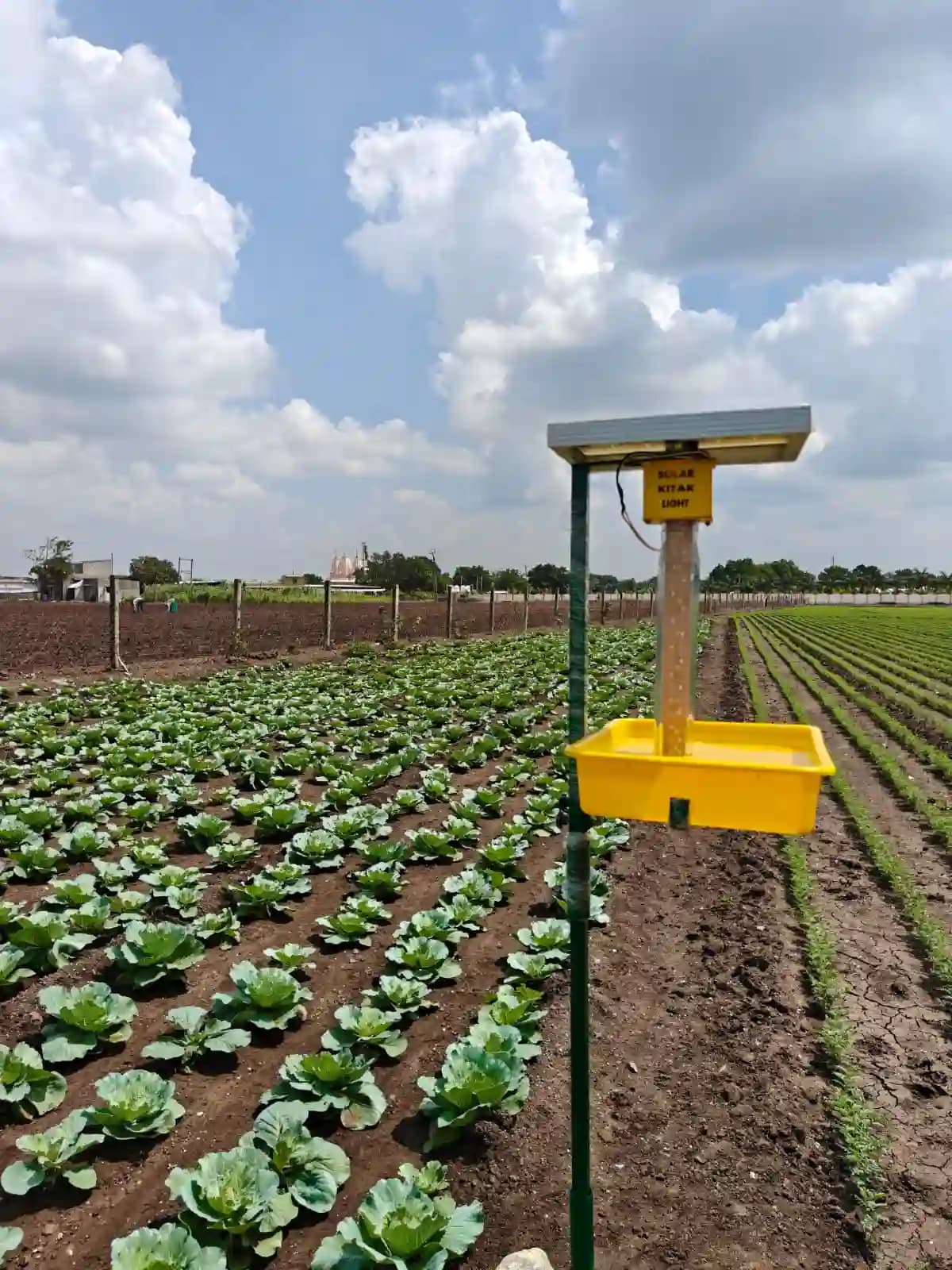 V-SAR Smart Solar Insect Trap 72 UV LED Automatic Pest Control Light - Image 7